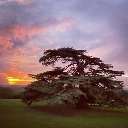 Chateau Gassies Latresne Εξωτερικό φωτογραφία